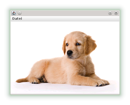 hund_normal.png