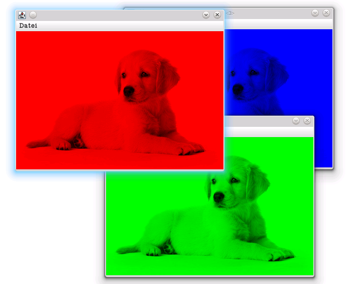 hunde.png