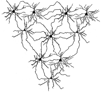 neuronennetz1.png neuronennetz1.png