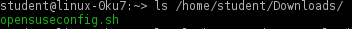 shell3.png