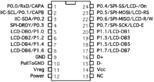 iowarriora9g.gif